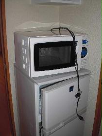 Other. refrigerator, Also it comes with a microwave oven