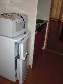 Kitchen. microwave, Fridge