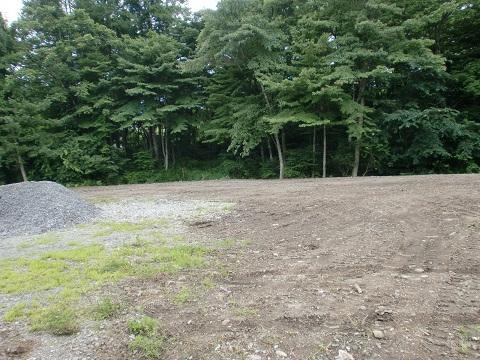 Local land photo. Flat and large site