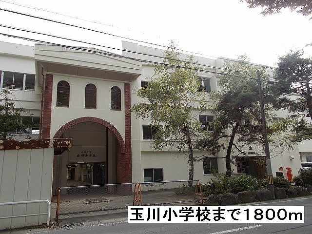 Primary school. Tamagawa until the elementary school (elementary school) 1800m