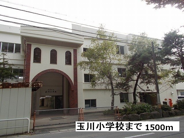 Primary school. Tamagawa until the elementary school (elementary school) 1500m