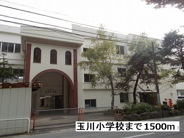 Primary school. Tamagawa until the elementary school (elementary school) 1500m