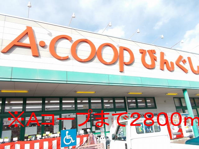 Supermarket. A Coop Bing to shop until the (super) 2800m