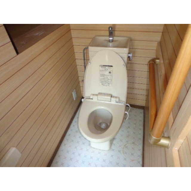 Toilet