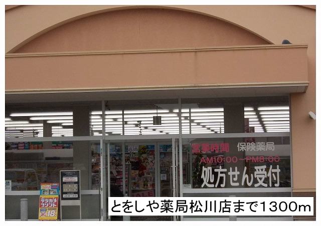 Dorakkusutoa. Tooshi and pharmacies Matsukawa shops 1300m until (drugstore)