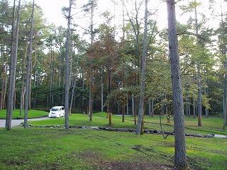 Garden. Garden on site ・ Creek ・ (spring) ・ rotary The building is located in the north, The south has become a garden