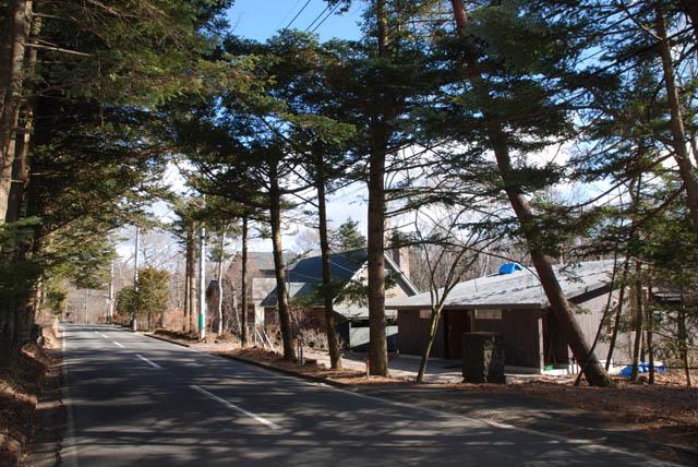 Local photos, including front road