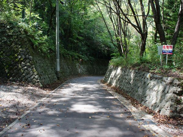 Local photos, including front road. It is the state of the front road. It is paved road.