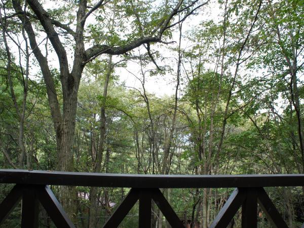 Balcony. It is the state of the view from the wood deck. During the season will spread it is full of green.