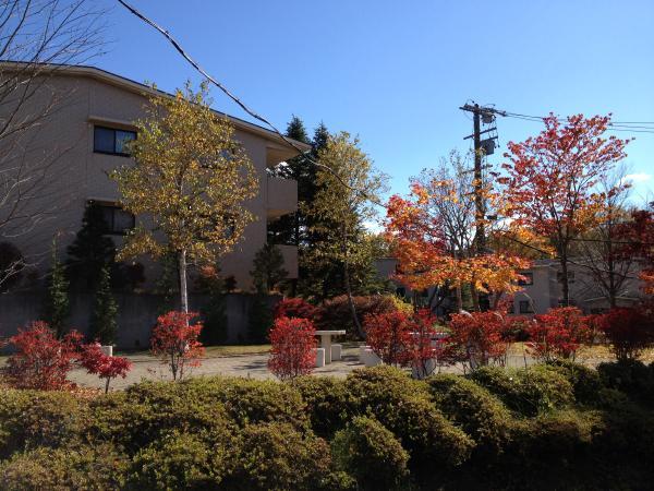 Local appearance photo. Because it is natural many apartment, Also coloring beautiful autumn leaves.