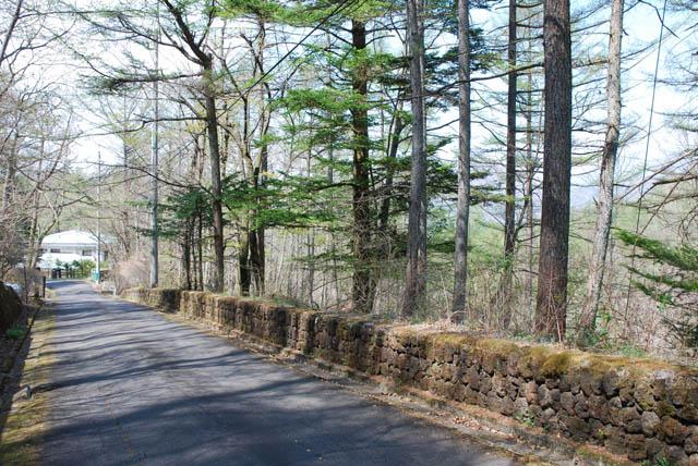 Local photos, including front road