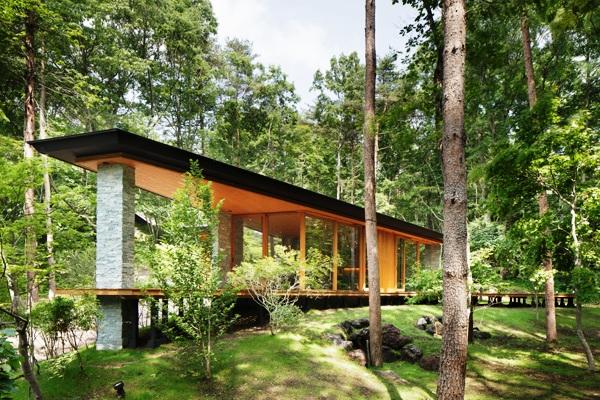 Local appearance photo. Innovative design, such as a ship like floating in the forest! 