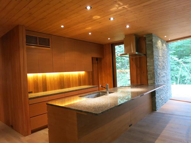Kitchen. With dishwasher in the kitchen. The top plate is natural stone (granite). Also the party calling a lot of acquaintances! 
