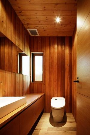 Toilet. Rest rooms are also widely over the entire surface planking. 