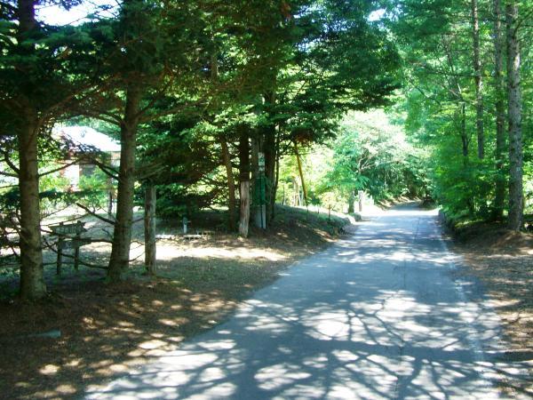 Local photos, including front road.  It is the state of the front road.