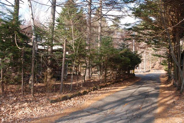 Local photos, including front road