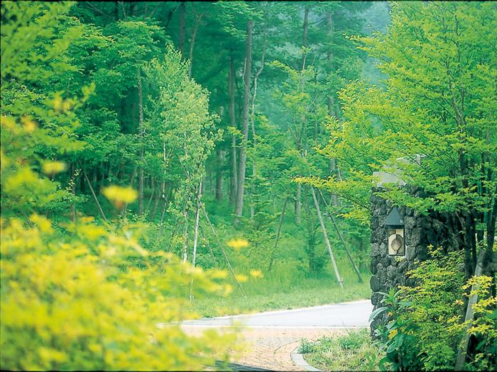 aerial photograph. Name Peak, Small hill connected to the nature of Mount Asama. Located on the opposite shore area of ​​the old Mikasa hotel. 