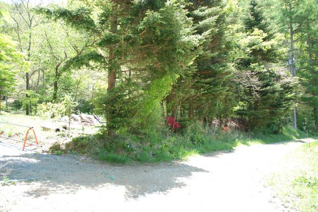 Local photos, including front road