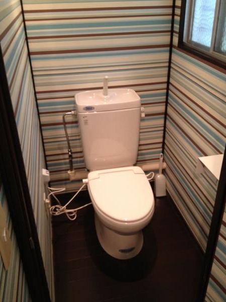 Toilet. A clean toilet.