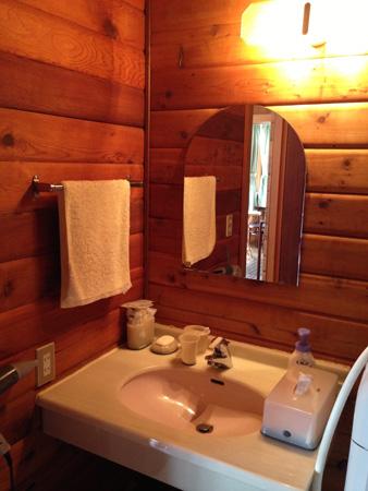 Wash basin, toilet. It is the state of the basin.