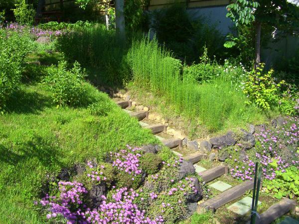 Garden. Current, Pesticide-free vegetables are grown in the garden. There are also herbs and blueberries. Loose south slope is a good environment to plant