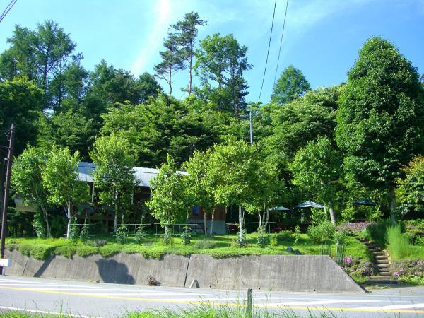 Local photos, including front road. Open and is higher from the road. Atmosphere of the villa ground having been the prominent location.