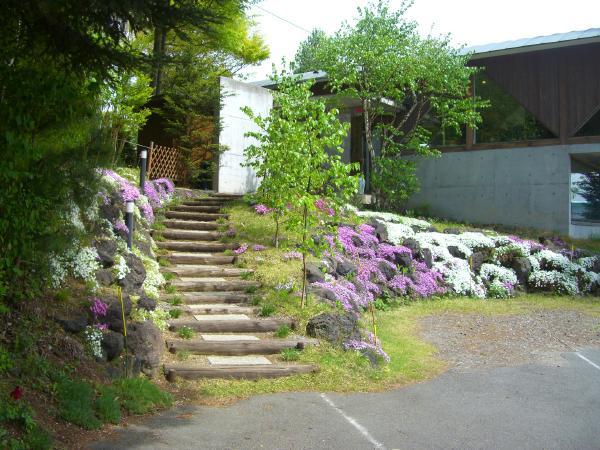 Garden. Gradual approach also towards our elderly are considered so easy to use. Spring moss phlox are in full bloom.