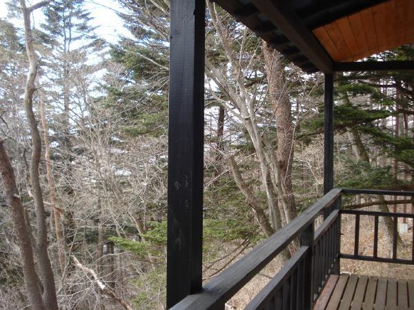 Balcony. Although not yet out green, This is the green color buds from spring.