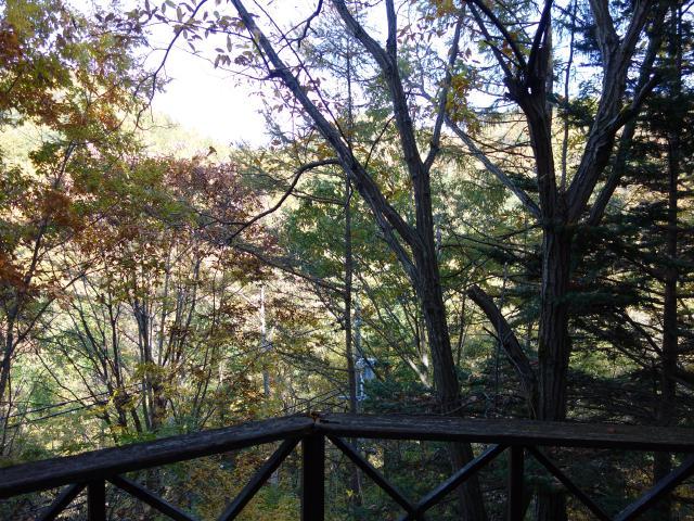 View photos from the dwelling unit. View as seen from the deck. Refreshing wind is poured.