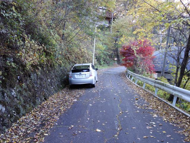 Other. Front road is asphalt pavement, It has been tightly managed.