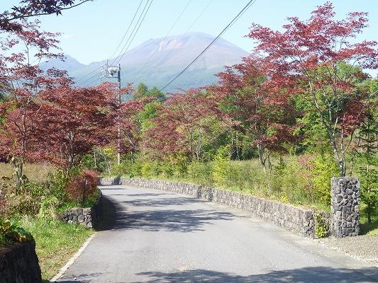 Sale already cityscape photo. Sale already the city average