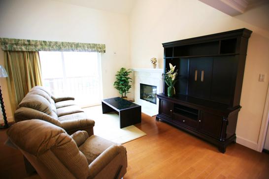 Living. Living room: bright space, which is also a wood-burning fireplace.