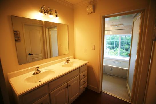 Wash basin, toilet. Washbasin 2-Ball.