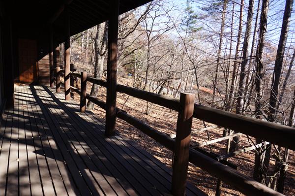 Balcony. The view from the wood deck. It is open because the south side is open.