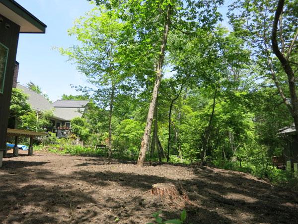 Garden. There is also the garden is on the south side. It also enjoys gardening and home garden.