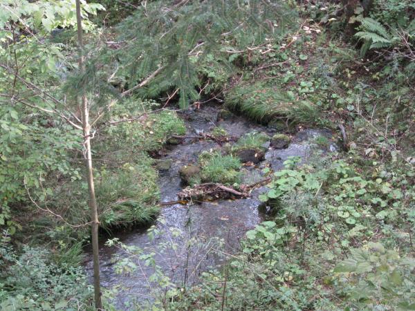 Other. It is flowing creek on property west, Rooms are healed the sound of good babbling of here feeling.