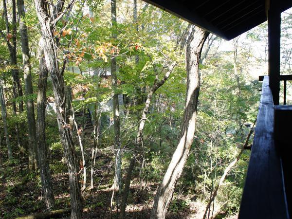 View photos from the dwelling unit. Can you see the sense of distance between the next door of the villa! Trees of foliage is not visible almost become the nature of the curtain.