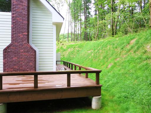 Garden. Surrounded by green wood deck.
