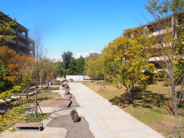 Other common areas.  [Appearance of the courtyard] On-site green space are also available.