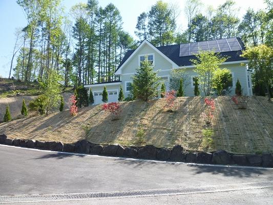 Local photos, including front road