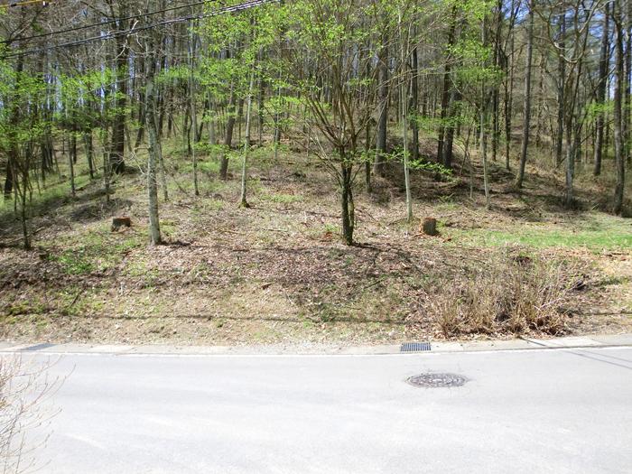 Local land photo.  ■ No. 2 place ■ It has left heavily traditional villa ground image of the old Karuizawa in a relatively flat zone. 