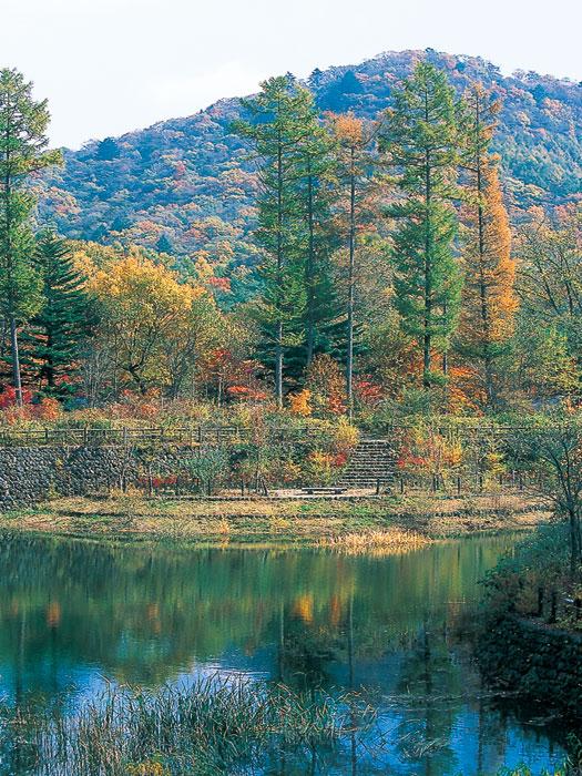 Other local. In the villa area of [Pond of harmony] Around the pond to create a intellectual natural scenery such as promenade and English-style natural garden with Megurase a wooden bridge. 