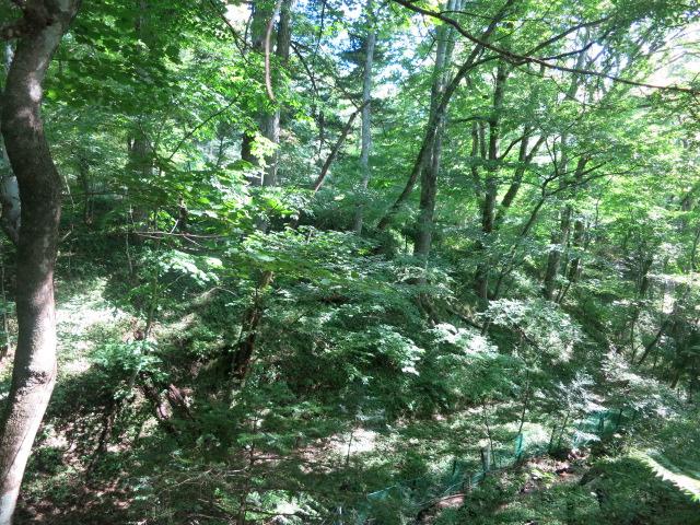 Garden. Old Karuizawa of nature is detached of borrowed landscape.