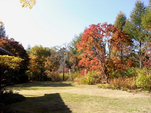 Garden. Spacious grounds of about 1000 square meters have also been beautiful to care, Autumn leaves is now the time has become a full bloom.