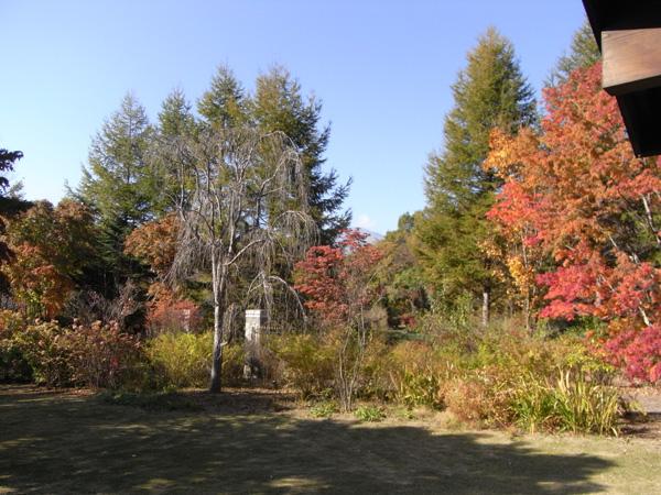 View photos from the dwelling unit. Flowers and trees There are a lot of pleasing the expression of the four seasons. Offer also Mount Asama is on a clear day.