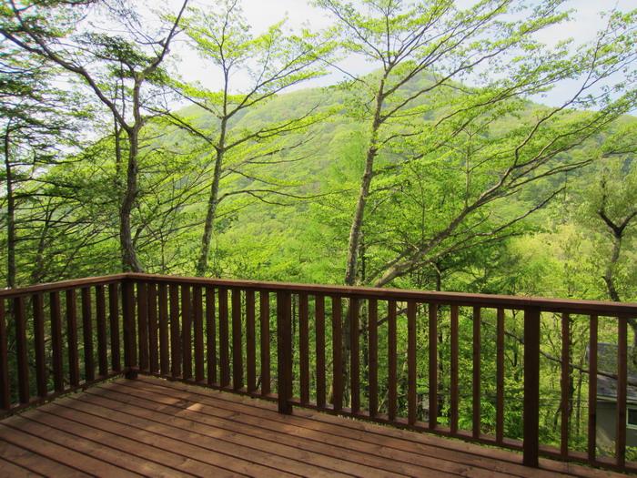 View photos from the dwelling unit. View of Hanareyama from the south side wood deck