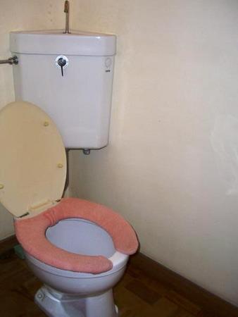 Toilet.  State of the toilet