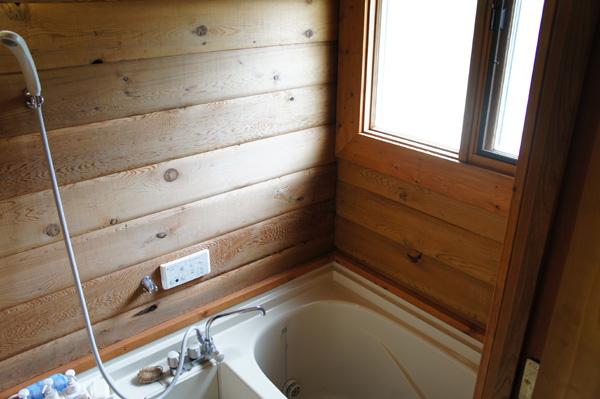 Bathroom. Bathing also planking.