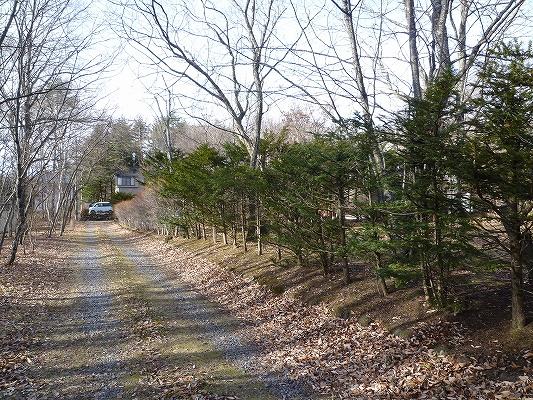 Local photos, including front road