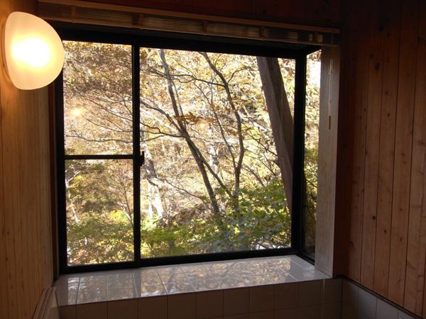 Bathroom. Is the view from the bathroom. Also it will be healed for the green of the trees.
